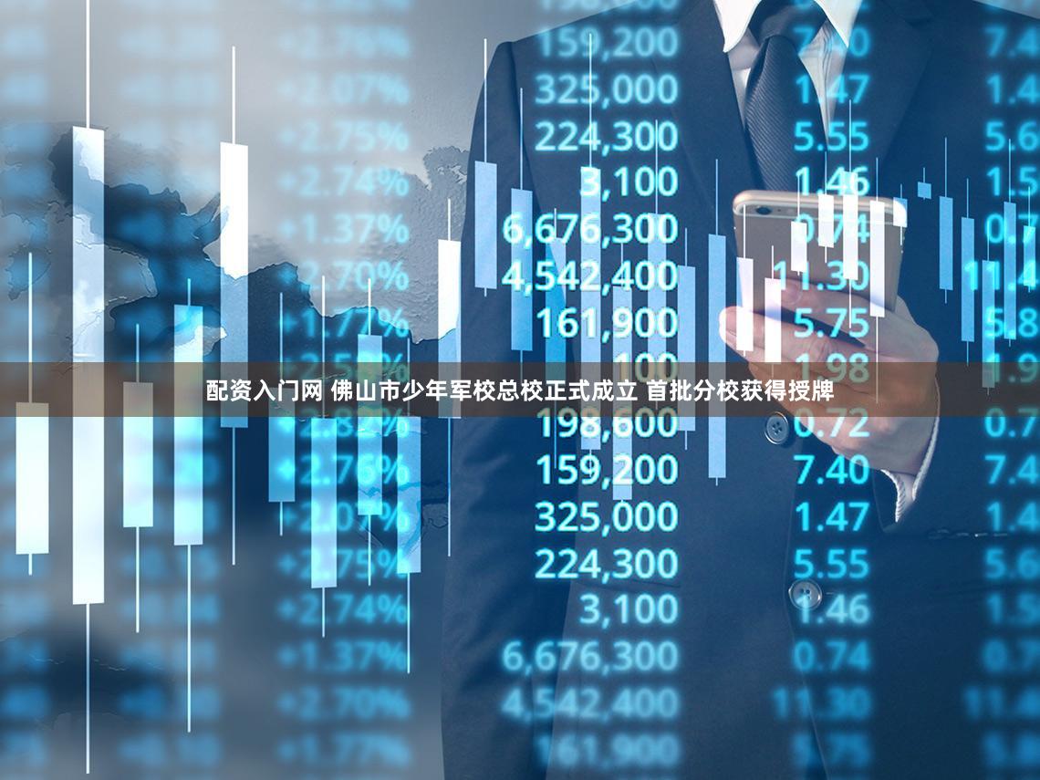 配资入门网 佛山市少年军校总校正式成立 首批分校获得授牌