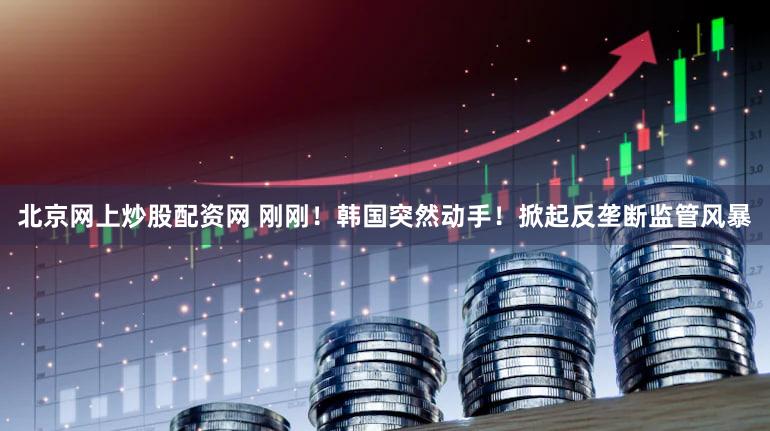 北京网上炒股配资网 刚刚!韩国突然动手!掀起反垄断监管风暴