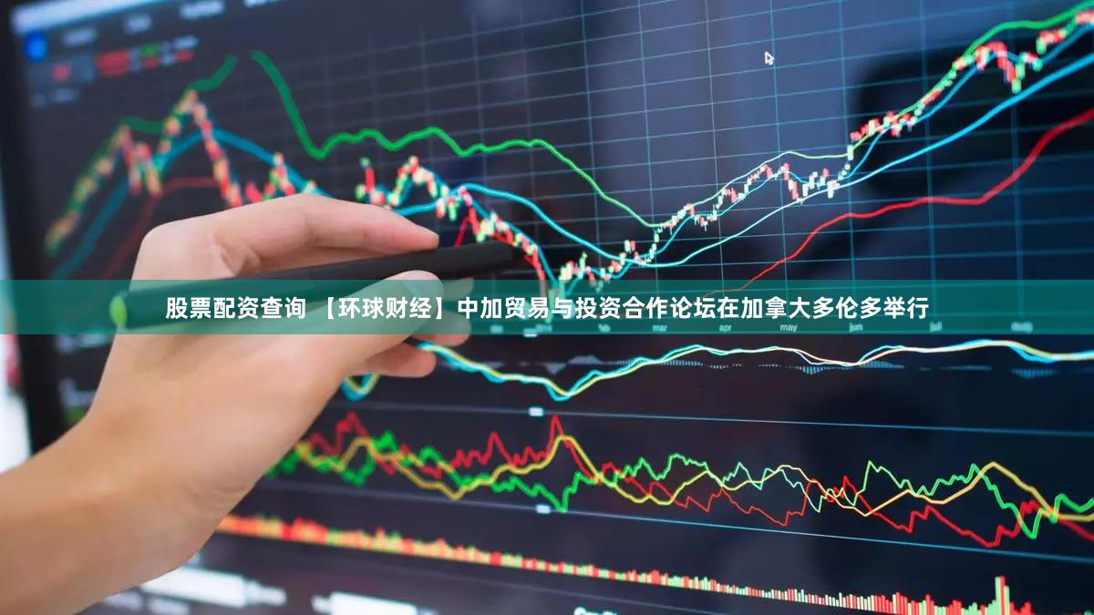 股票配资查询 【环球财经】中加贸易与投资合作论坛在加拿大多伦多举行