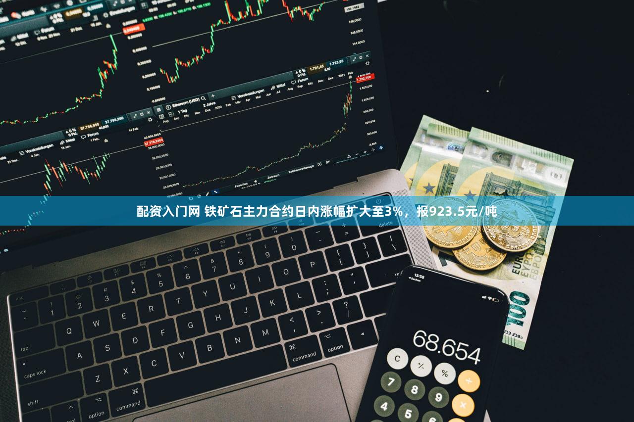 配资入门网 铁矿石主力合约日内涨幅扩大至3%，报923.5元/吨