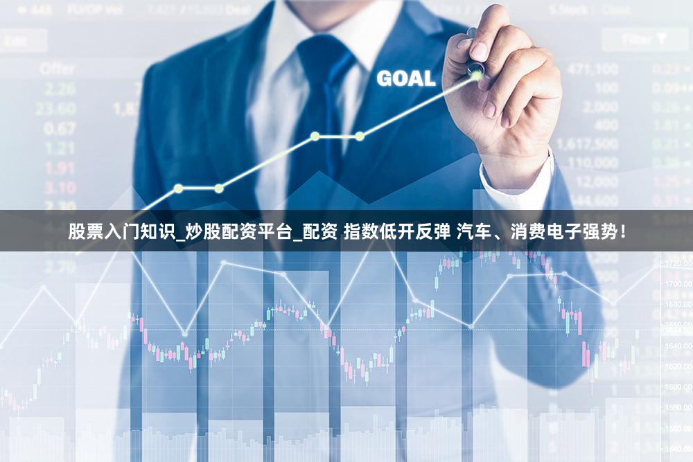 股票入门知识_炒股配资平台_配资 指数低开反弹 汽车、消费电子强势！